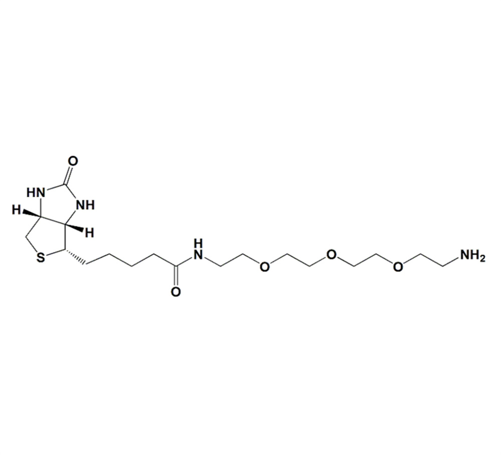 生物素-PEG3-胺,Biotin-PEG3-amine