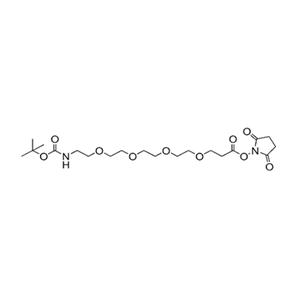 叔丁氧羰基-PEG4-琥珀酰亚胺酯