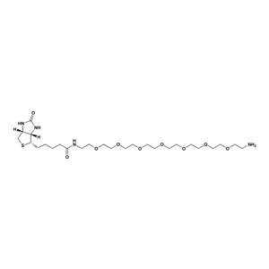 生物素-PEG7-胺