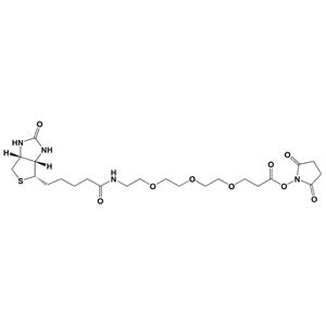 生物素-PEG3-琥珀酰亚胺酯