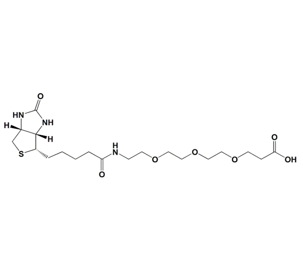 生物素-PEG3-羧酸,Biotin-PEG3-acid