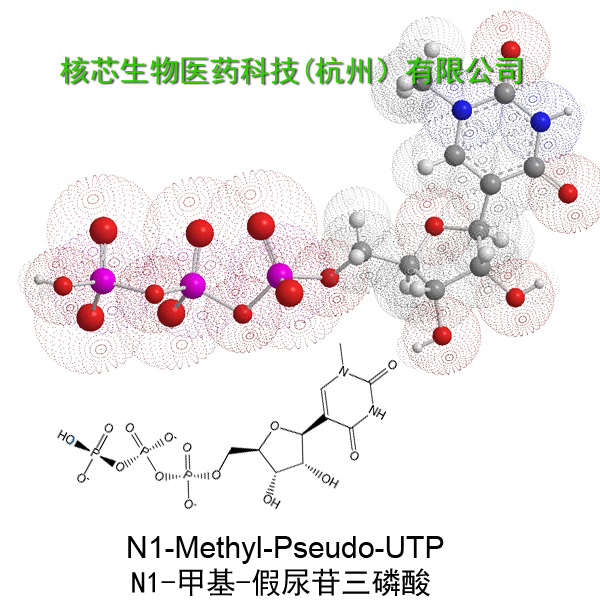 N1-甲基-假尿苷三磷酸钠,1-Methylpseudouridine-5'-Triphosphate sodium salt