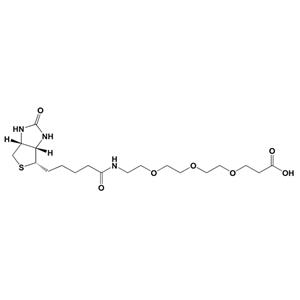 生物素-PEG3-羧酸