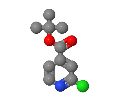 2-氯异烟酸叔丁酯,2-Chloropyridine-4-carboxylic acid tert-butyl ester