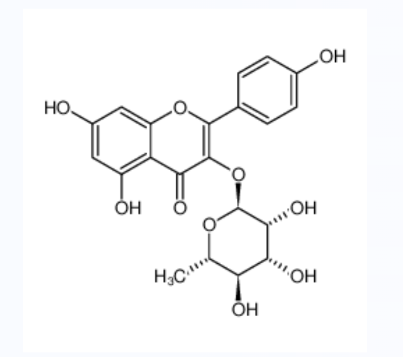 阿福豆苷,afzelin