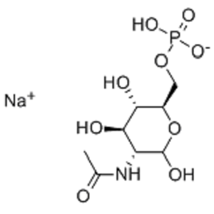 N-乙酰葡糖胺-6-磷酸