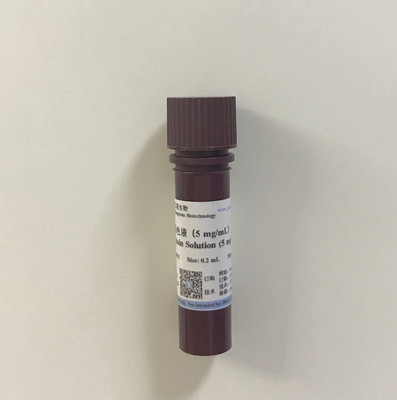 DAPI染色液（5 mg/mL）,DAPI Stain Solution (5 mg/mL)