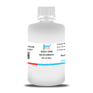 胰蛋白酶-瓊脂糖凝膠4B,Trypsin Sepharose 4B