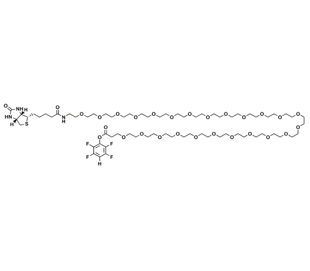 生物素-PEG24-四氟苯酚酯,Biotin-PEG24-TFP ester