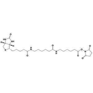 生物素酰氨基己酰-6-氨基己酸N-羟基琥珀酰亚胺酯,BiotinaMidohexanoyl-6-aMinohexanoic