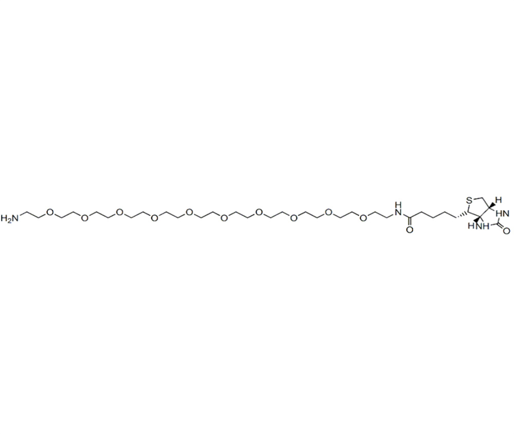 生物素-PEG10-胺,Biotin-PEG10-amine