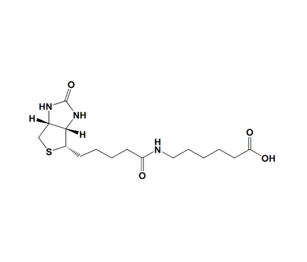 6-生物素氨基己酸,6-Biotinamidohexanoic acid