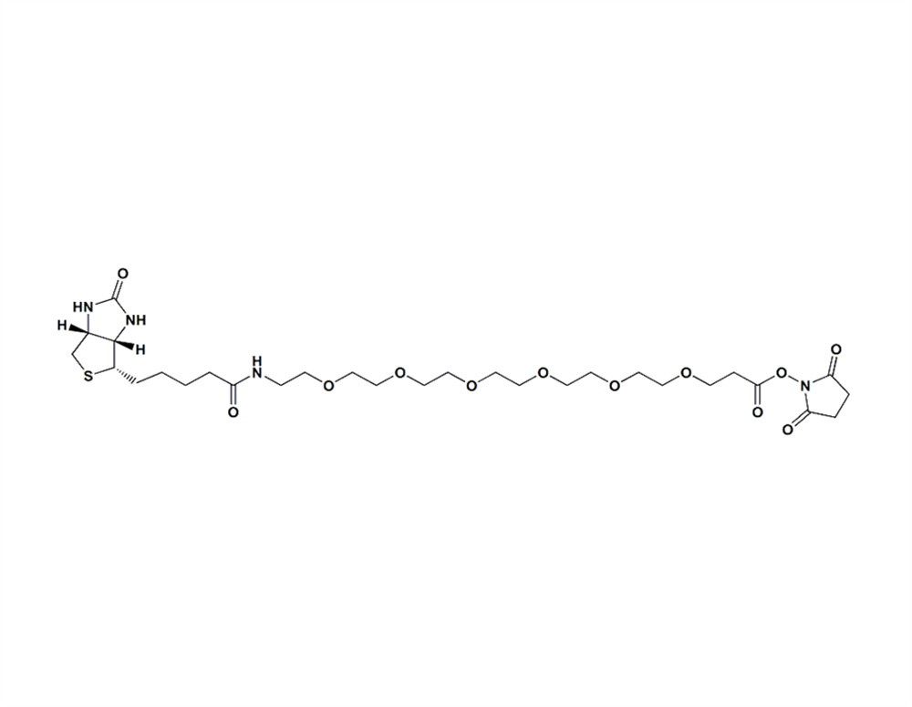 生物素-PEG6-琥珀酰亚胺酯,Biotin-PEG6-NHS Ester