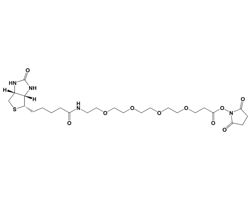 生物素-PEG4-琥珀酰亚胺酯,Biotin-PEG4-NHS Ester