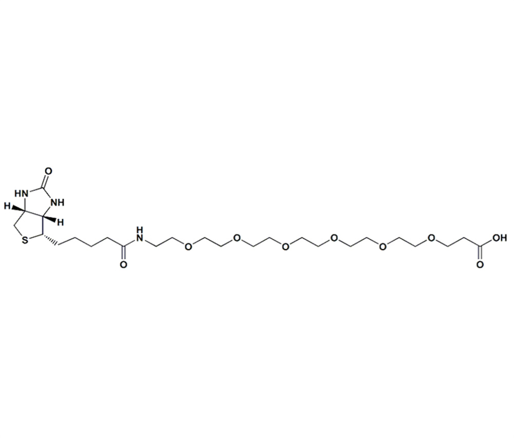 生物素-PEG6-羧酸,Biotin-PEG6-acid