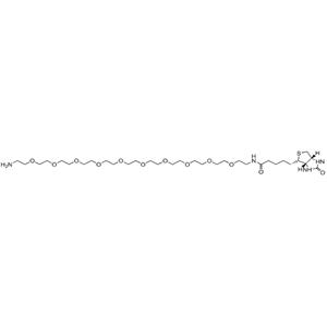 生物素-PEG10-胺,Biotin-PEG10-amine