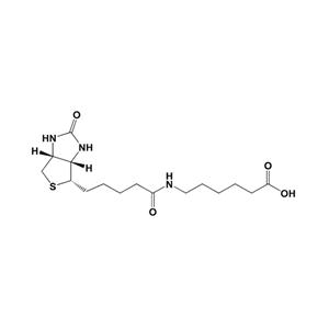 6-生物素氨基己酸,6-Biotinamidohexanoic acid