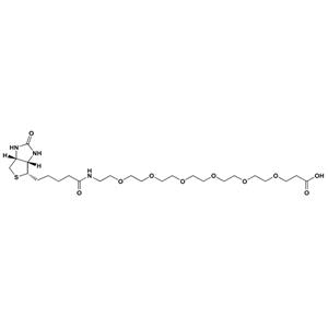 生物素-PEG6-羧酸,Biotin-PEG6-acid