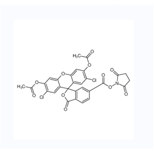 6-羧基-2’,7’-二氯荧光素3’,6’-二乙酸酯琥珀酰亚胺基酯