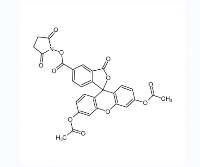 5(6)-羧基二乙酸荧光素琥珀酰亚胺酯,5(6)-(N-SUCCINIMIDYLOXYCARBONYL)-3',6',O,O'-DIACETYLFLUORESCEIN