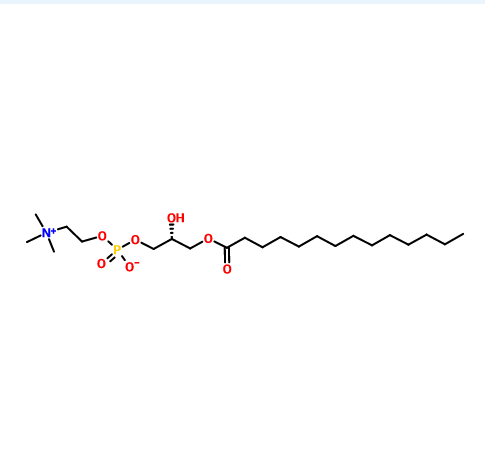 肉豆蔻酰溶血卵磷脂,1-Myristoyl-sn-glycero-3-phosphocholine