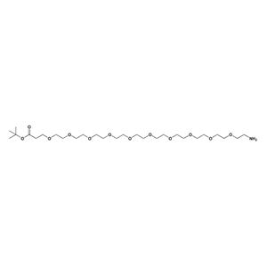 氨基-PEG10-叔丁酯