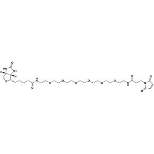 生物素-PEG6-酰胺-马来酰亚胺,Biotin-PEG6-Maleimide