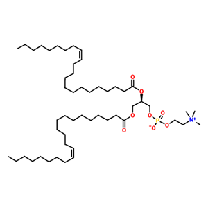 1,2-二芥酰-SN-甘油-3-磷酰胆碱