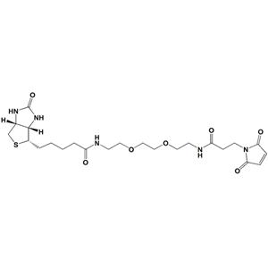 生物素-PEG2-酰胺-马来酰亚胺