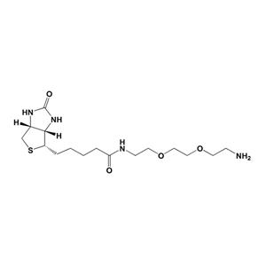 生物素-PEG2-胺