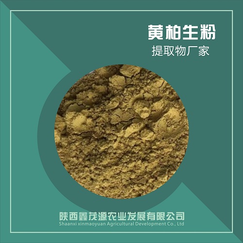 黄柏生粉,Cortex Phellodendri raw powder