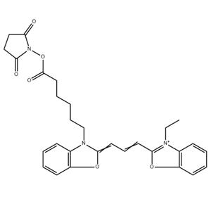 花青素CY2琥珀酰亚胺酯,CY2-SE