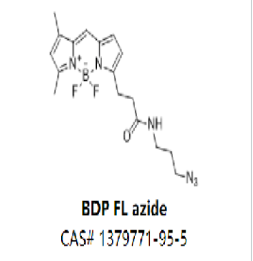 BDP FL azide,BDP FL azide