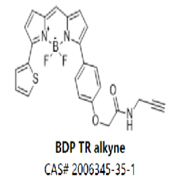 BDP TR alkyne,BDP TR alkyne