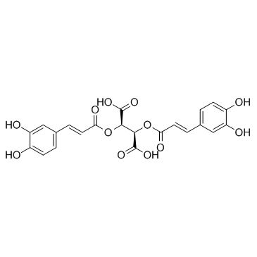 菊苣酸,Chicoric acid