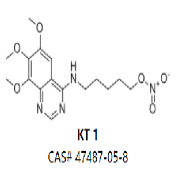 KT 1,KT 1