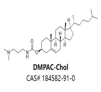 DMPAC-Chol,DMPAC-Chol