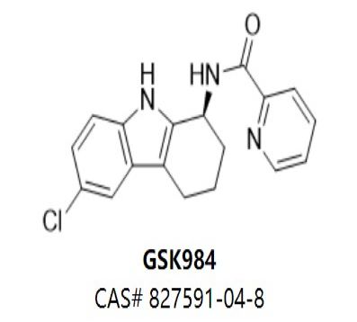 GSK984,GSK984