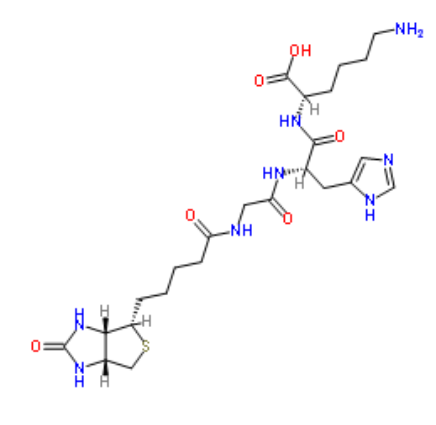 生物素三肽-1 (生發(fā)肽),Biotinoyl Tripeptide-1