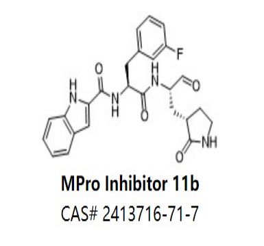 MPro Inhibitor 11b,MPro Inhibitor 11b