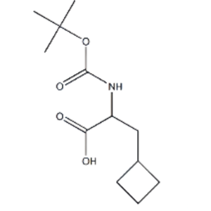 BOC-DL-环丁基丙氨酸,BOC-DL-CYCLOBUTYLALANINE