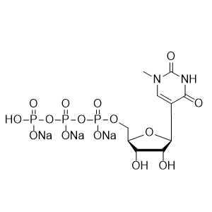 N1-甲基-假尿苷三磷酸.3Na 100mM solution,N1-Methy-Pseudo-UTP.3Na 100mM solution