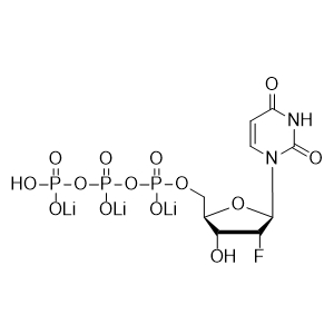 2'-氟-2'-脱氧尿苷-5'-三磷酸溶液, 100mM(2'-F-2'-dUTP, 100mM solution),2'-Fluoro-2'-deoxyuridine-5'-triphosphate, 100mM solution