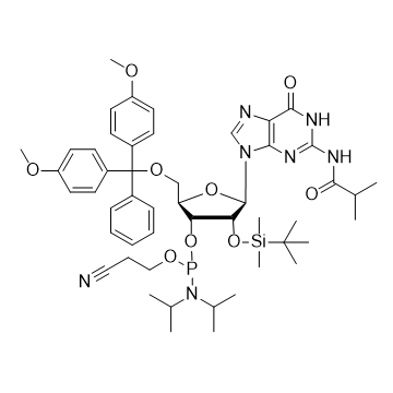 iBu-rG 亚磷酰胺单体,DMT-2'-O-TBDMS-G(iBu)-CE-Phosphoramidite