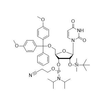 rU 亚磷酰胺单体,DMT-2'-O-TBDMS-U-CE-Phosphoramidite