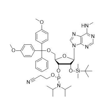 N6-Me-rA 亚磷酰胺单体,N6-Me-DMT-2'-O-TBDMS-A-CE Phosphoramidite