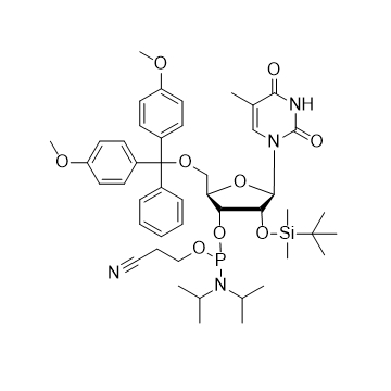 5-Me-rU 亚磷酰胺单体,5-Me-DMT-2'-O-TBDMS-U-CE-Phosphoramidite