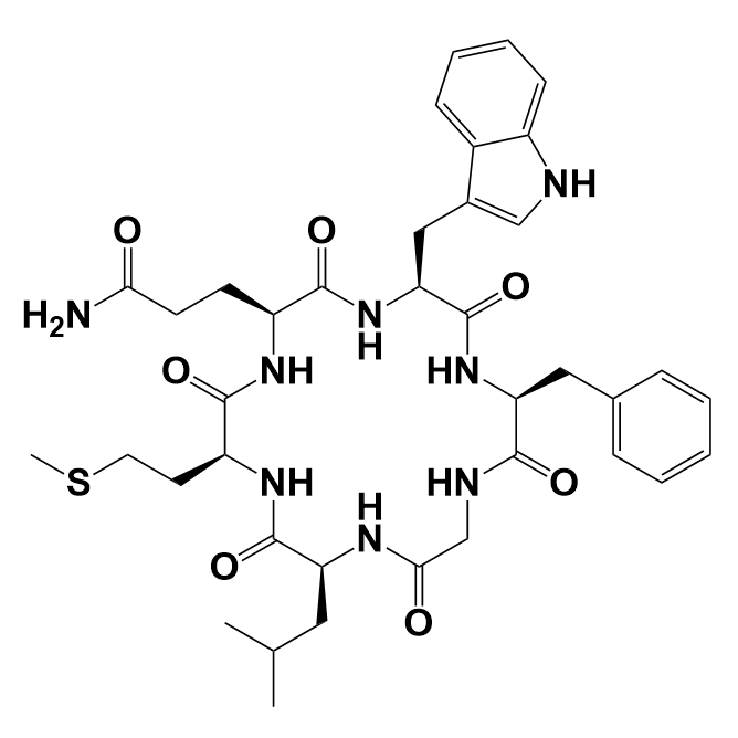 NK-2受体拮抗剂多肽L 659877,L 659877