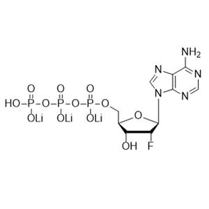 2'-氟-2'-脱氧腺苷-5'-三磷酸溶液, 100mM(2'-F-2'-dATP, 100mM solution)