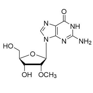 2'-甲氧基鸟苷(2'-OMe-Gr)